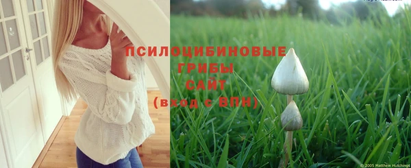 кристаллы Покровск