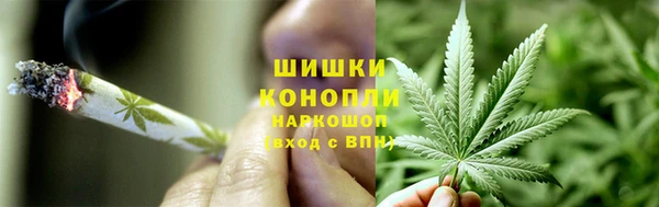 ALPHA PVP Покров